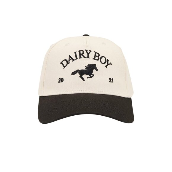Dairy Boy East Coast Trucker Hat in Black One Size New Womens Snap Back - Picture 2 of 12